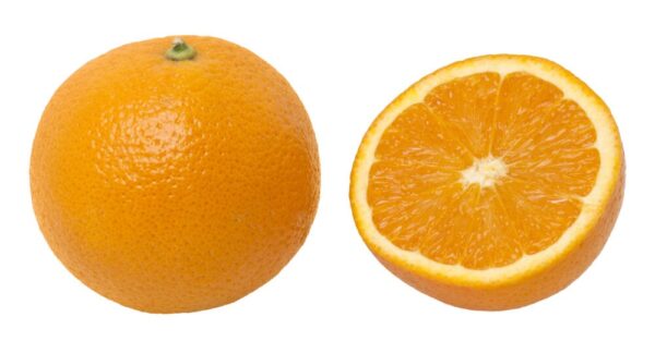 Orange skin is often called "orange peel". Oranges are an important food source in many parts of the world for several reasons. They are a commonly available source of vitamin C. They last longer than many other fruits when they are stored.