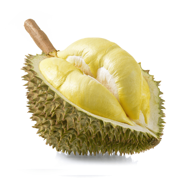 Durian king isi musang 5 Cara